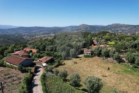Villa i Cabeceiras de Basto, Braga, Cabeceiras de Basto - € 90.000 | Ref: 121751324-81 - foto 13