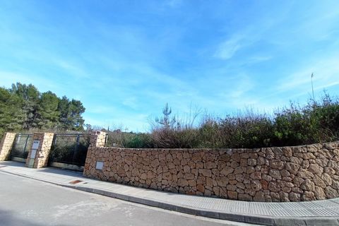 Helårsgrund i Roca Llisa, Ibiza, Roca Llisa - € 950.000 | Ref: A205 - foto 10