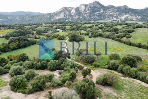 Tomt i Telti, Olbia Tempio, Telti - € 650 000 | Ref: OT-188AT - foto 2
