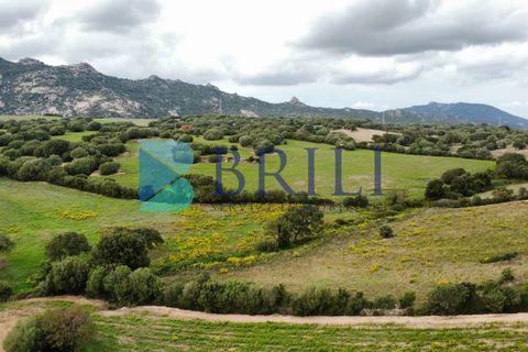 Tomt i Telti, Olbia Tempio, Telti - € 650 000 | Ref: OT-188AT - foto 3