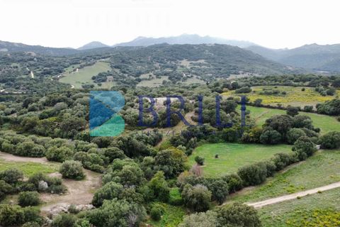 Tomt i Telti, Olbia Tempio, Telti - € 650 000 | Ref: OT-188AT - foto 4