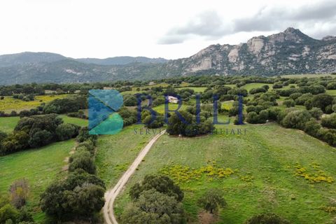 Tomt i Telti, Olbia Tempio, Telti - € 650 000 | Ref: OT-188AT - foto 5