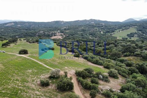 Tomt i Telti, Olbia Tempio, Telti - € 650 000 | Ref: OT-188AT - foto 6