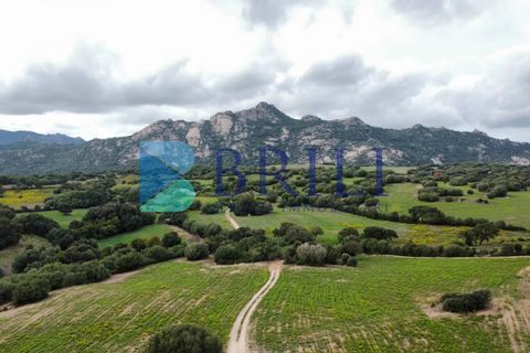 Tomt i Telti, Olbia Tempio, Telti - € 650 000 | Ref: OT-188AT - foto 7