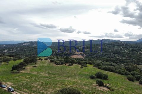 Tomt i Telti, Olbia Tempio, Telti - € 650 000 | Ref: OT-188AT - foto 9