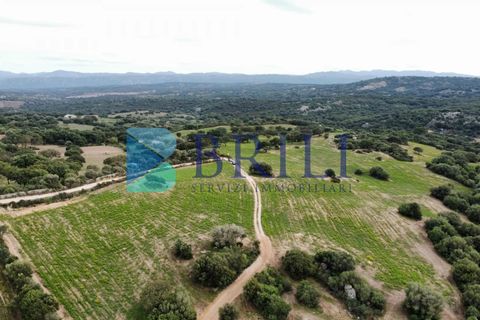 Tomt i Telti, Olbia Tempio, Telti - € 650 000 | Ref: OT-188AT - foto 10