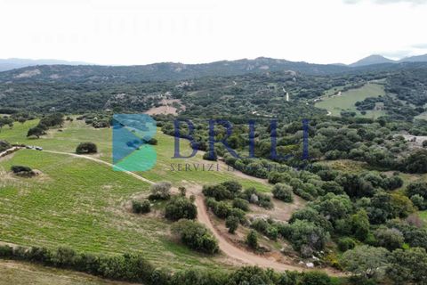 Tomt i Telti, Olbia Tempio, Telti - € 650 000 | Ref: OT-188AT - foto 11