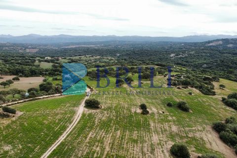 Tomt i Telti, Olbia Tempio, Telti - € 650 000 | Ref: OT-188AT - foto 12