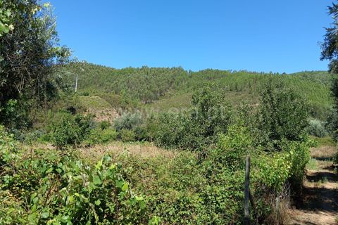 Helårsgrund i Castelo Branco, Castelo Branco, Castelo Branco - € 22.000 | Ref: 102240194 - foto 2