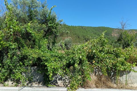 Helårsgrund i Castelo Branco, Castelo Branco, Castelo Branco - € 22.000 | Ref: 102240194 - foto 3