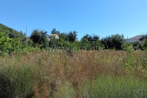 Helårsgrund i Castelo Branco, Castelo Branco, Castelo Branco - € 22.000 | Ref: 102240194 - foto 4