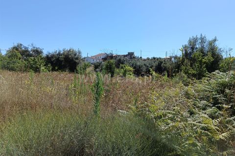 Helårsgrund i Castelo Branco, Castelo Branco, Castelo Branco - € 22.000 | Ref: 102240194 - foto 6