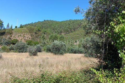 Helårsgrund i Castelo Branco, Castelo Branco, Castelo Branco - € 22.000 | Ref: 102240194 - foto 8