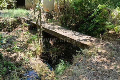 Helårsgrund i Castelo Branco, Castelo Branco, Castelo Branco - € 22.000 | Ref: 102240194 - foto 9