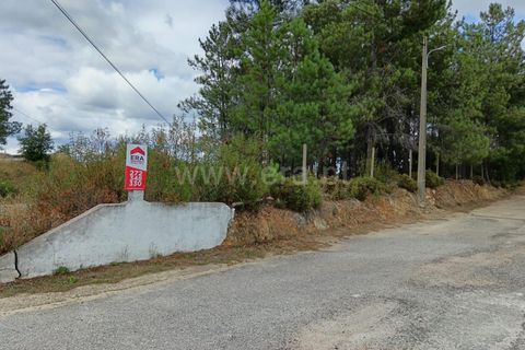 Helårsgrund i Castelo Branco, Castelo Branco, Castelo Branco - € 22.000 | Ref: 102240194 - foto 11