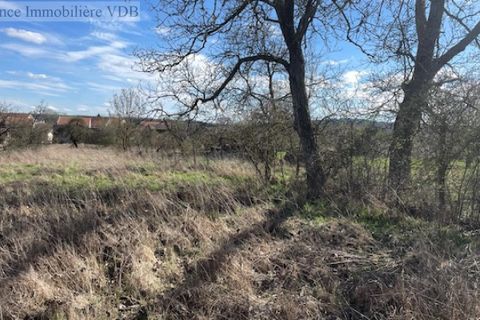 Terra a Arracourt, Meurthe-et-Moselle, Arracourt - € 40.000 | Ref: V666 - foto 3
