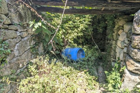 Landejendom i Arcos de Valdevez, Viana do Castelo, Arcos de Valdevez - € 25.000 | Ref: 7107-1 - foto 6