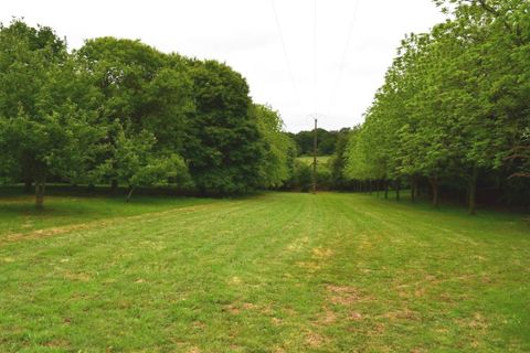 Villa i Glomel, Cotes-d'Armor, Glomel - € 430.500 | Ref: 560022044 - foto 35