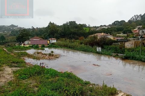 Villa i Caldas da Rainha, Leiria, Caldas da Rainha - € 325.000 | Ref: SCL1025 - foto 5
