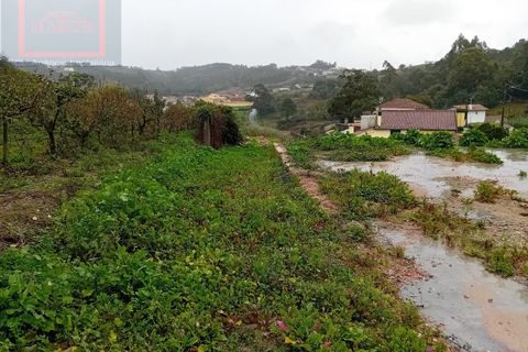 Villa i Caldas da Rainha, Leiria, Caldas da Rainha - € 325.000 | Ref: SCL1025 - foto 6
