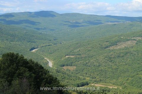 Villa i Orvieto, Terni, Orvieto - € 850.000 | Ref: IP63 - foto 8