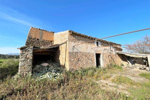 Terra a Costitx, Mallorca, Costitx - € 670.000 | Ref: 73783 - foto 10
