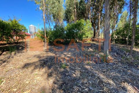 Helårsgrund i Tondela, Viseu, Tondela - € 50.000 | Ref: SAFTI:005891 - foto 1