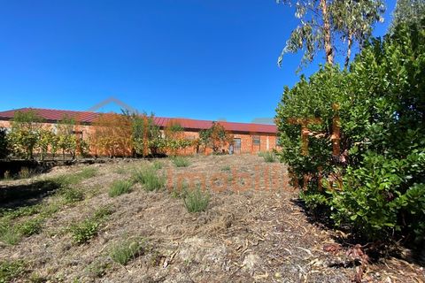 Helårsgrund i Tondela, Viseu, Tondela - € 50.000 | Ref: SAFTI:005891 - foto 7