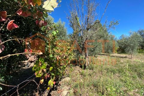 Helårsgrund i Tondela, Viseu, Tondela - € 50.000 | Ref: SAFTI:005891 - foto 2