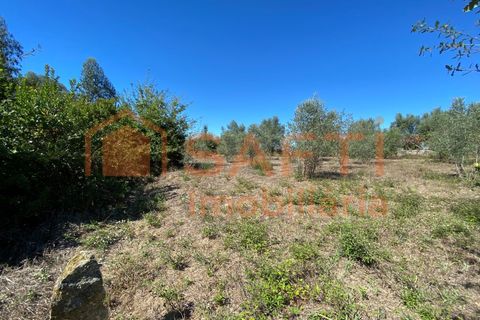 Helårsgrund i Tondela, Viseu, Tondela - € 50.000 | Ref: SAFTI:005891 - foto 3