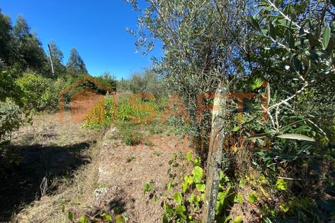 Helårsgrund i Tondela, Viseu, Tondela - € 50.000 | Ref: SAFTI:005891 - foto 9