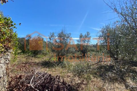 Helårsgrund i Tondela, Viseu, Tondela - € 50.000 | Ref: SAFTI:005891 - foto 5