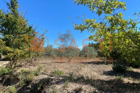 Helårsgrund i Tondela, Viseu, Tondela - € 50.000 | Ref: SAFTI:005891 - foto 8