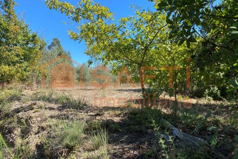 Helårsgrund i Tondela, Viseu, Tondela - € 50.000 | Ref: SAFTI:005891 - foto 6