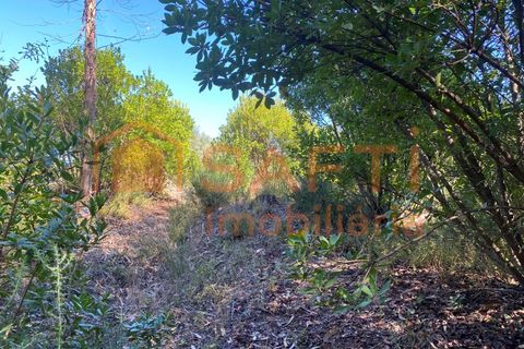 Helårsgrund i Tondela, Viseu, Tondela - € 50.000 | Ref: SAFTI:005891 - foto 11