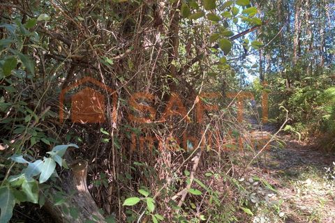 Helårsgrund i Tondela, Viseu, Tondela - € 50.000 | Ref: SAFTI:005891 - foto 12