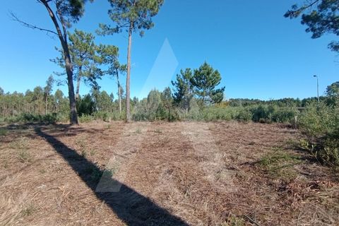 Helårsgrund i Ilhavo, Aveiro, Ilhavo - € 57.000 | Ref: 1012110/24 GL - foto 1