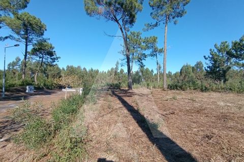 Helårsgrund i Ilhavo, Aveiro, Ilhavo - € 57.000 | Ref: 1012110/24 GL - foto 2