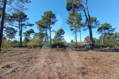 Helårsgrund i Ilhavo, Aveiro, Ilhavo - € 57.000 | Ref: 1012110/24 GL - foto 3