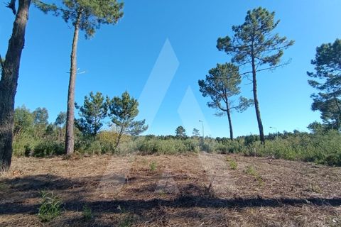 Helårsgrund i Ilhavo, Aveiro, Ilhavo - € 57.000 | Ref: 1012110/24 GL - foto 4