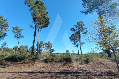 Helårsgrund i Ilhavo, Aveiro, Ilhavo - € 57.000 | Ref: 1012110/24 GL - foto 5