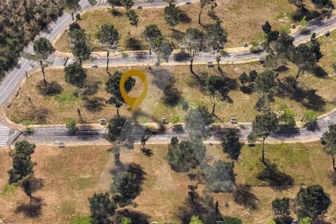Helårsgrund i Ilhavo, Aveiro, Ilhavo - € 57.000 | Ref: 1012110/24 GL - foto 7