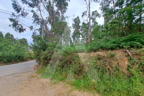 Helårsgrund i Argoncilhe, Aveiro, Argoncilhe - € 149.000 | Ref: 1012052/24 GL - foto 5