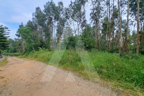 Helårsgrund i Argoncilhe, Aveiro, Argoncilhe - € 149.000 | Ref: 1012052/24 GL - foto 6