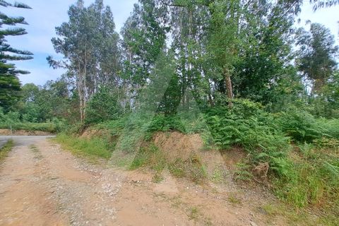 Helårsgrund i Argoncilhe, Aveiro, Argoncilhe - € 149.000 | Ref: 1012052/24 GL - foto 7