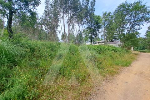 Helårsgrund i Argoncilhe, Aveiro, Argoncilhe - € 149.000 | Ref: 1012052/24 GL - foto 8