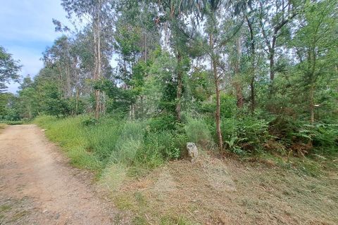 Helårsgrund i Argoncilhe, Aveiro, Argoncilhe - € 149.000 | Ref: 1012052/24 GL - foto 9