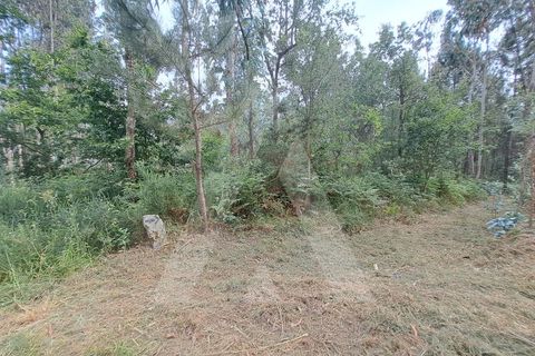 Helårsgrund i Argoncilhe, Aveiro, Argoncilhe - € 149.000 | Ref: 1012052/24 GL - foto 12