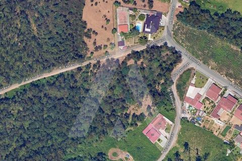 Helårsgrund i Argoncilhe, Aveiro, Argoncilhe - € 149.000 | Ref: 1012052/24 GL - foto 13