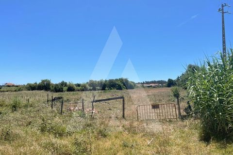 Helårsgrund i Aveiro, Aveiro, Aveiro - € 135.000 | Ref: 1012077/24 GL - foto 2